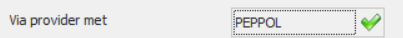 Peppol provider (1).png
