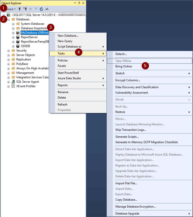 How to Bring SQL Server Database Online